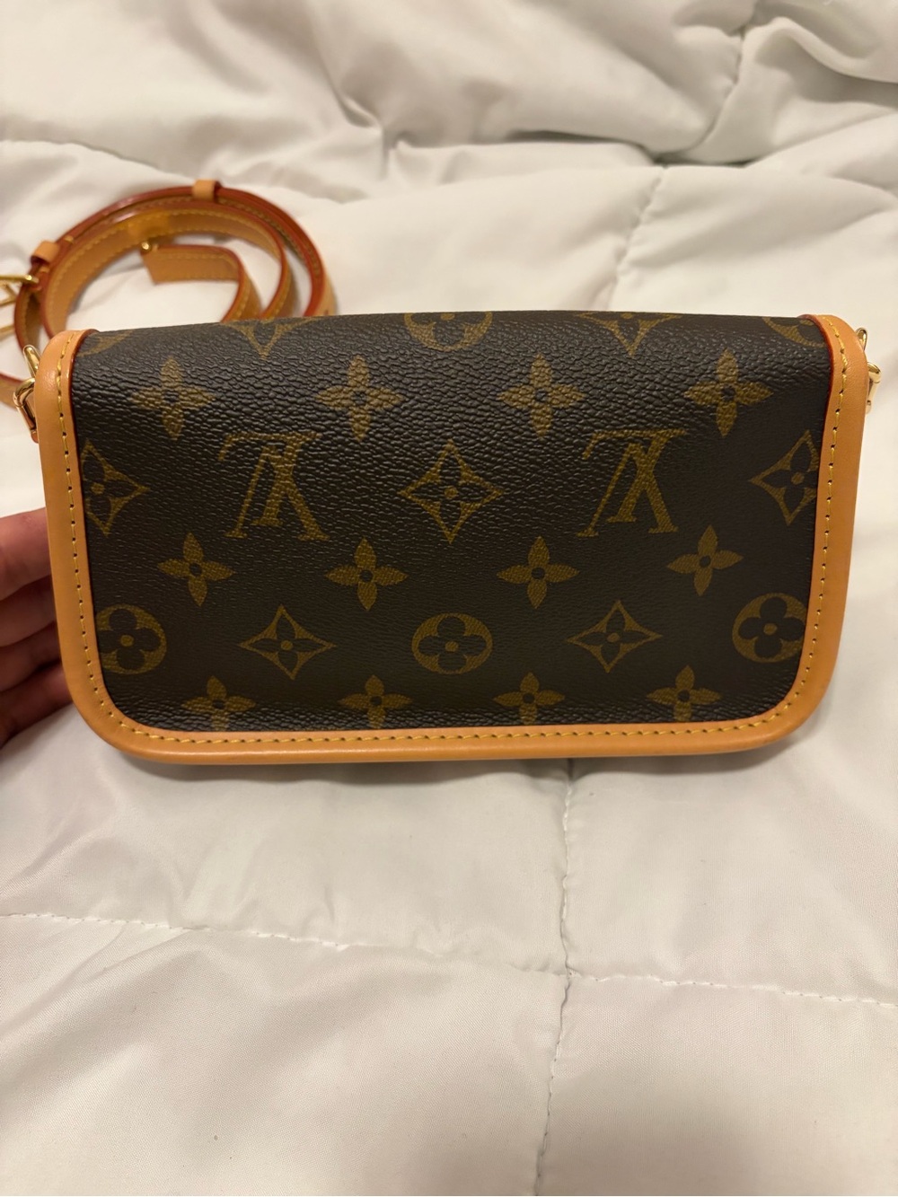 Louis Vuitton Monogram Nano Diane - Picture 5 of 13